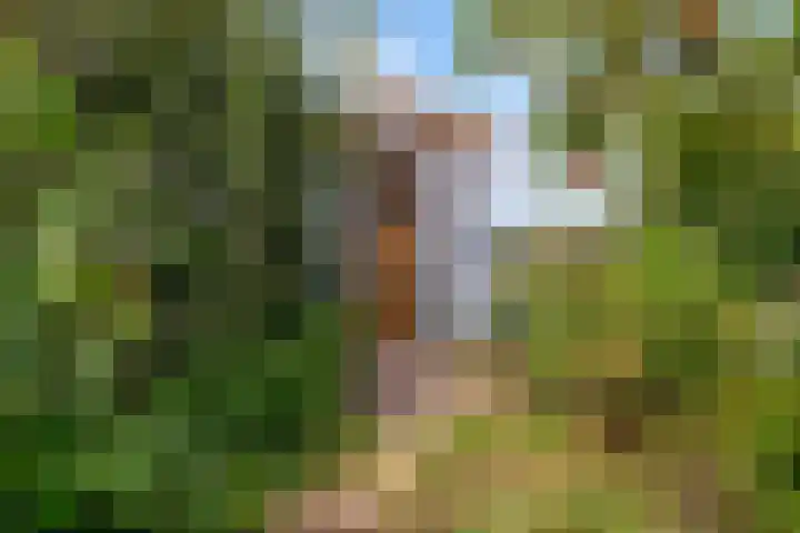 John Lockeweg 17 Almere thumbnail 35