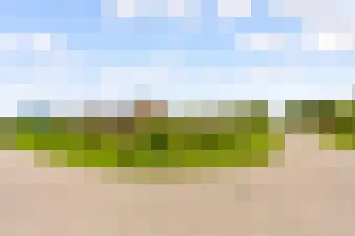 John Lockeweg 17 Almere thumbnail 45