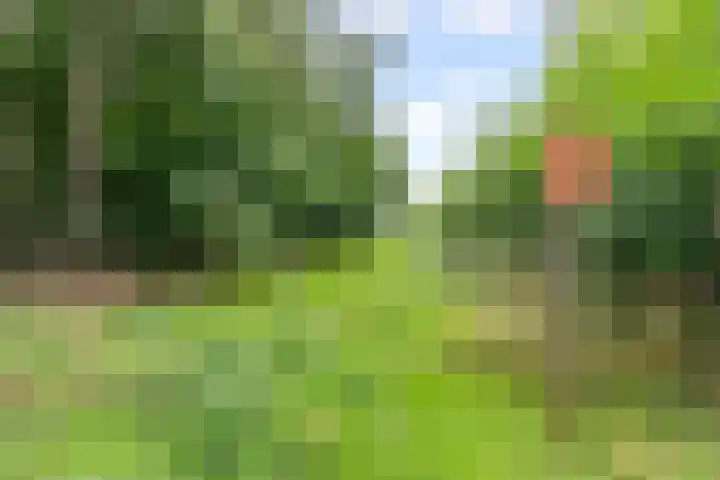 John Lockeweg 17 Almere thumbnail 47