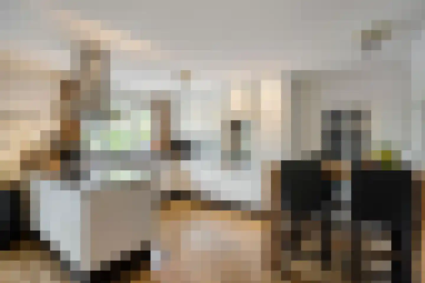 John Miltonlaan 2 Eindhoven thumbnail 14