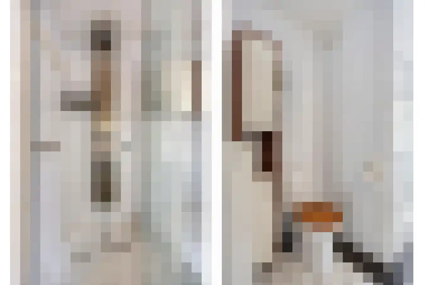 John Miltonlaan 2 Eindhoven thumbnail 24