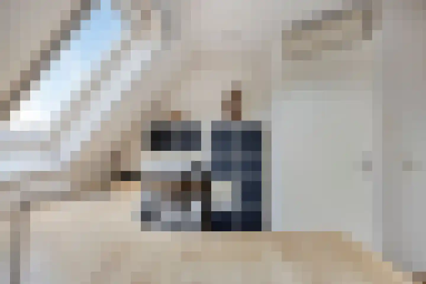 John Miltonlaan 2 Eindhoven thumbnail 32