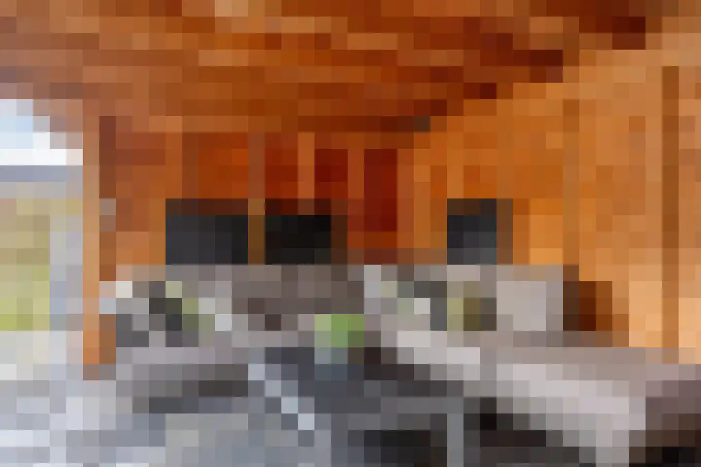 John Miltonlaan 2 Eindhoven thumbnail 37