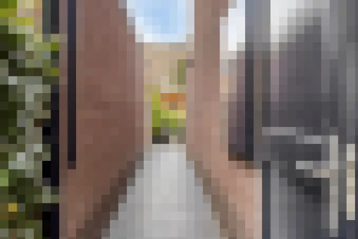 John Miltonlaan 2 Eindhoven thumbnail 41