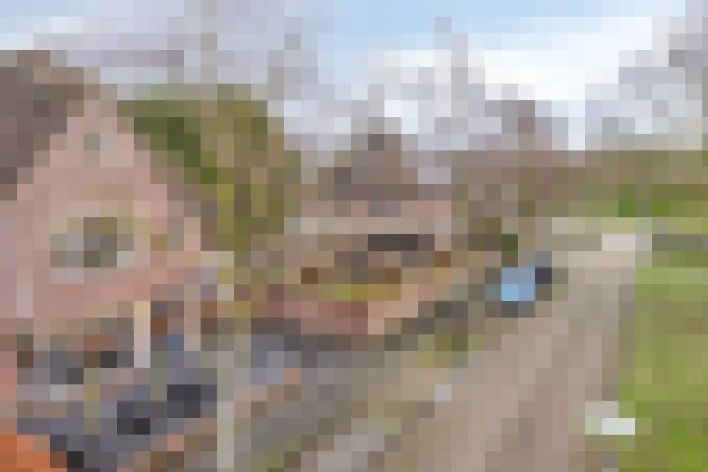 John Miltonlaan 2 Eindhoven thumbnail 76