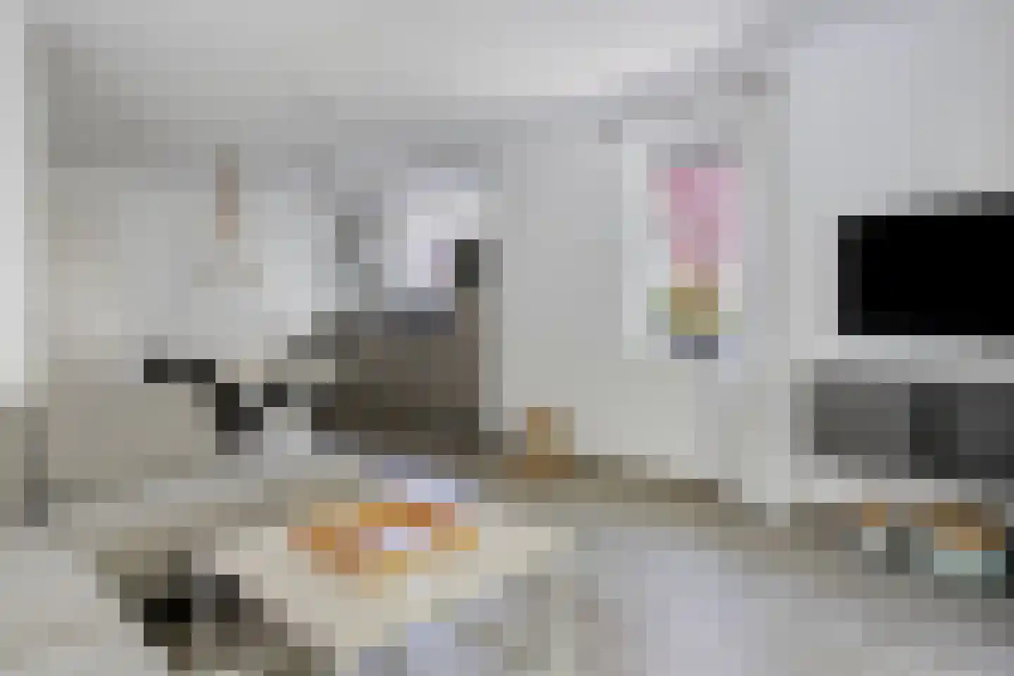John O. Forfarstraat 15 Koudekerke thumbnail 4