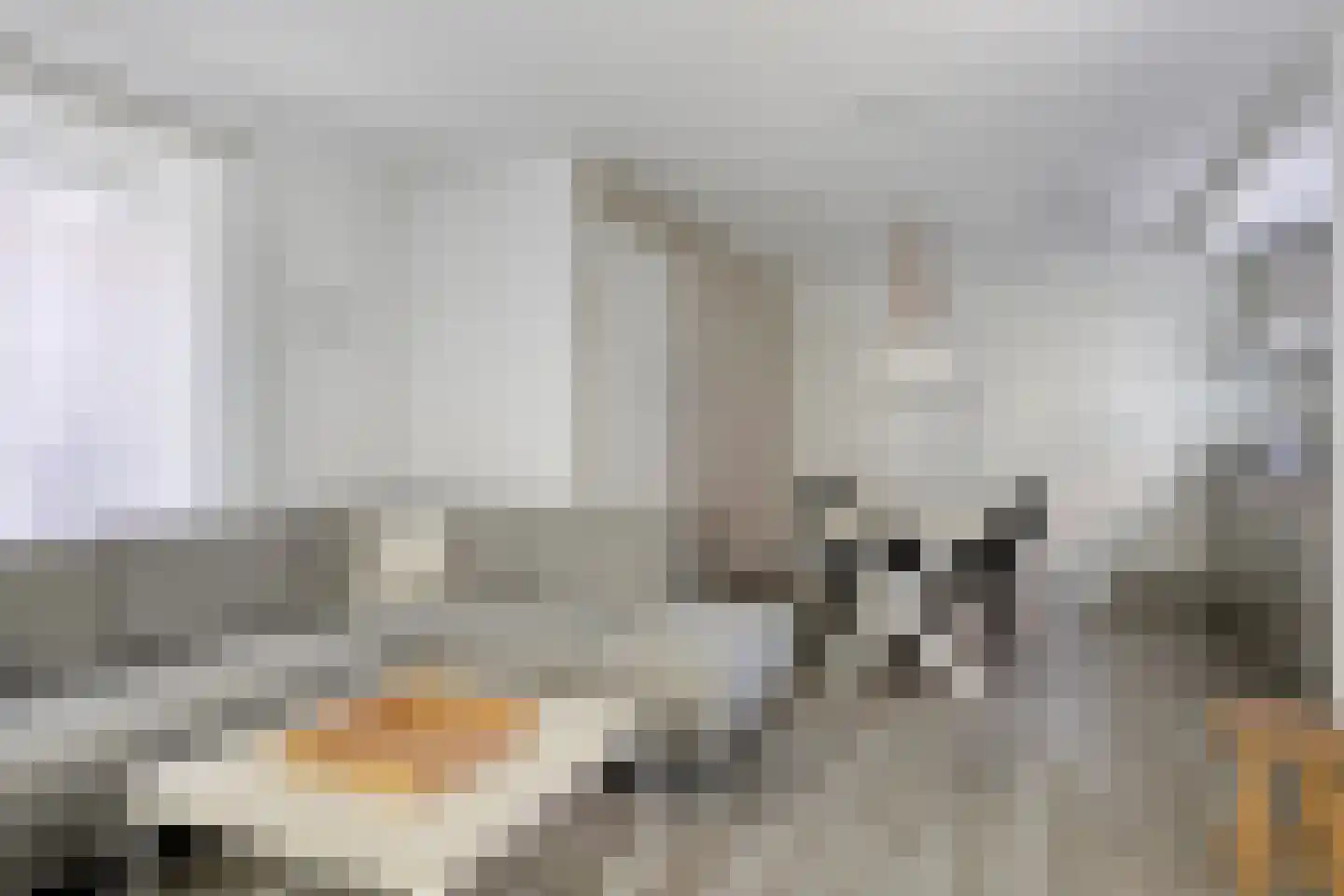 John O. Forfarstraat 15 Koudekerke thumbnail 6