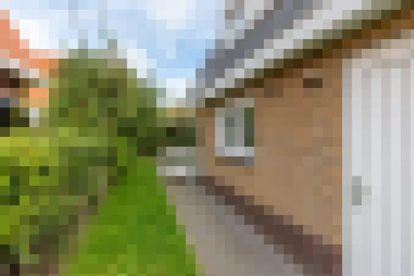 John O. Forfarstraat 27 Koudekerke thumbnail 28