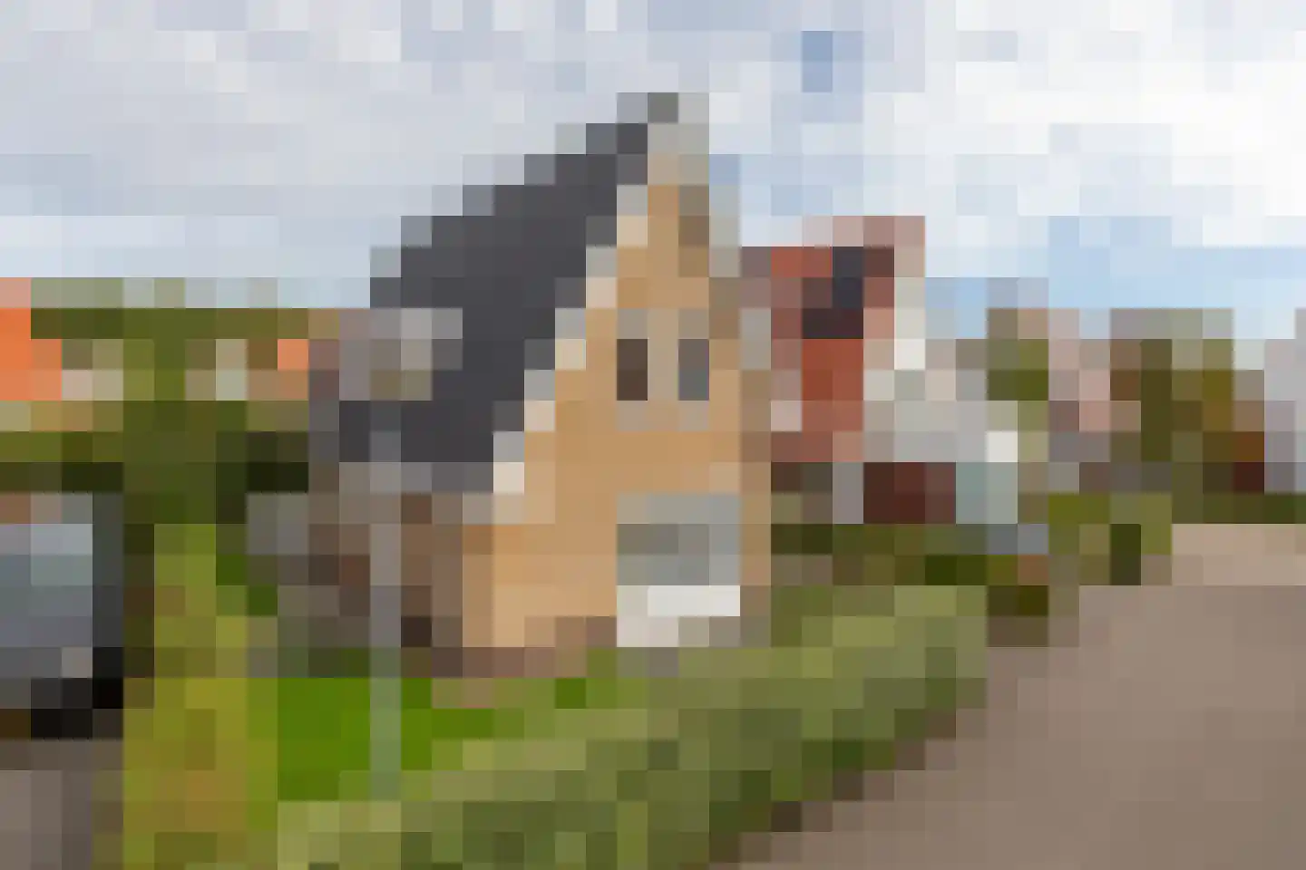 John O. Forfarstraat 27 Koudekerke thumbnail 29