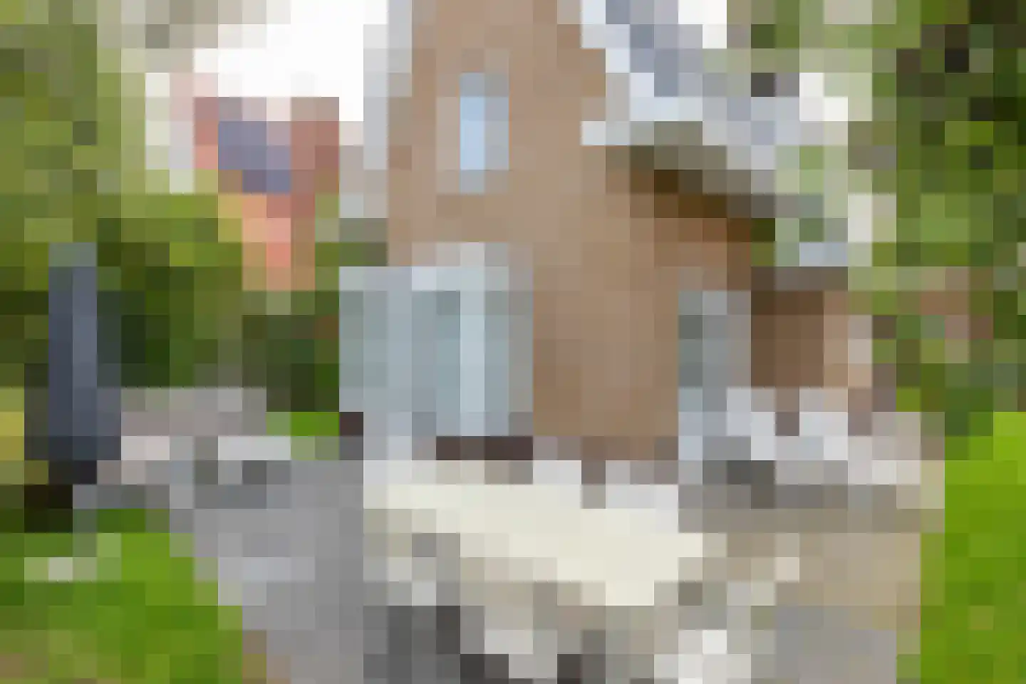 John O. Forfarstraat 27 Koudekerke thumbnail 5