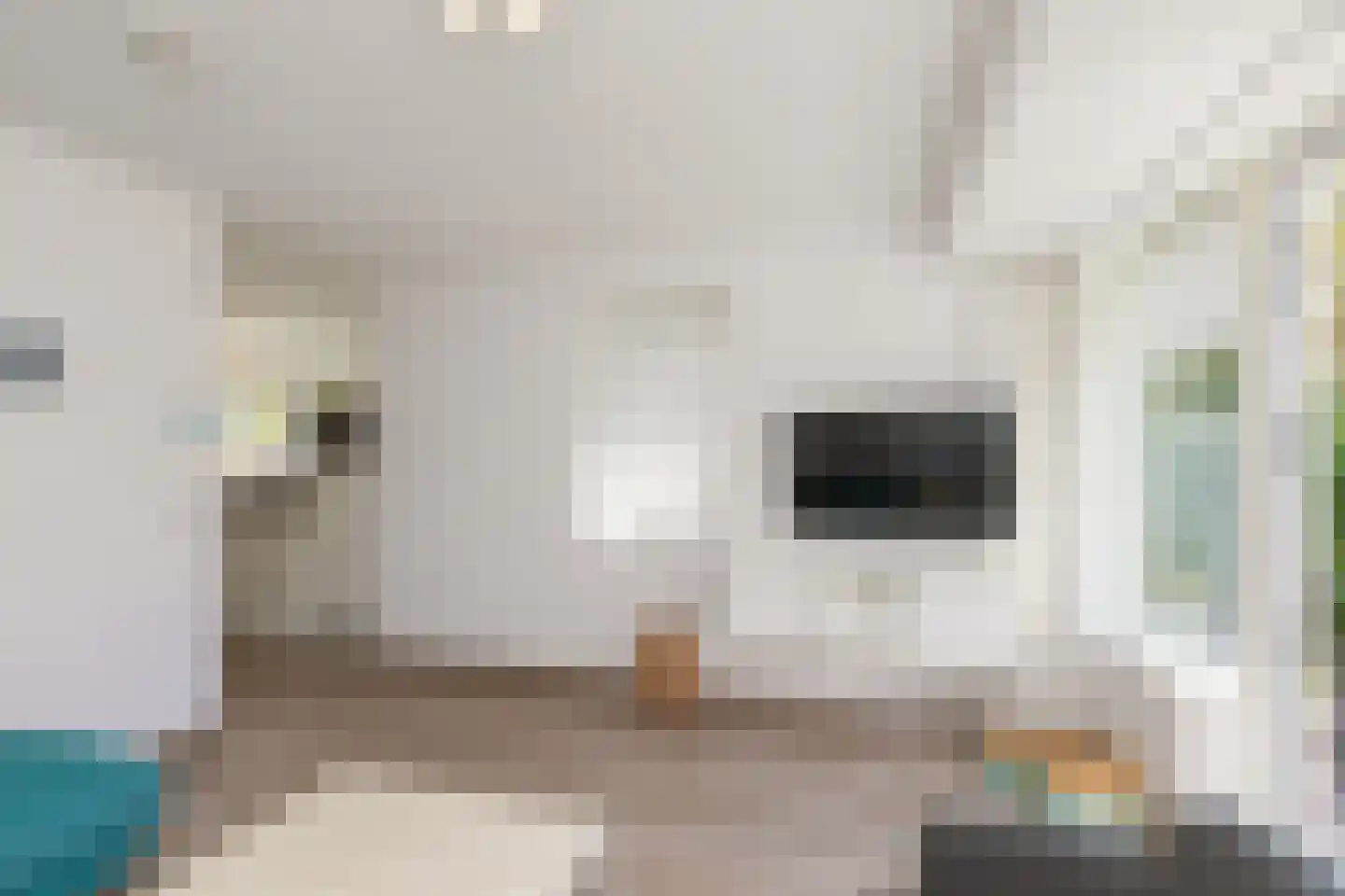 John O. Forfarstraat 38 Koudekerke thumbnail 11