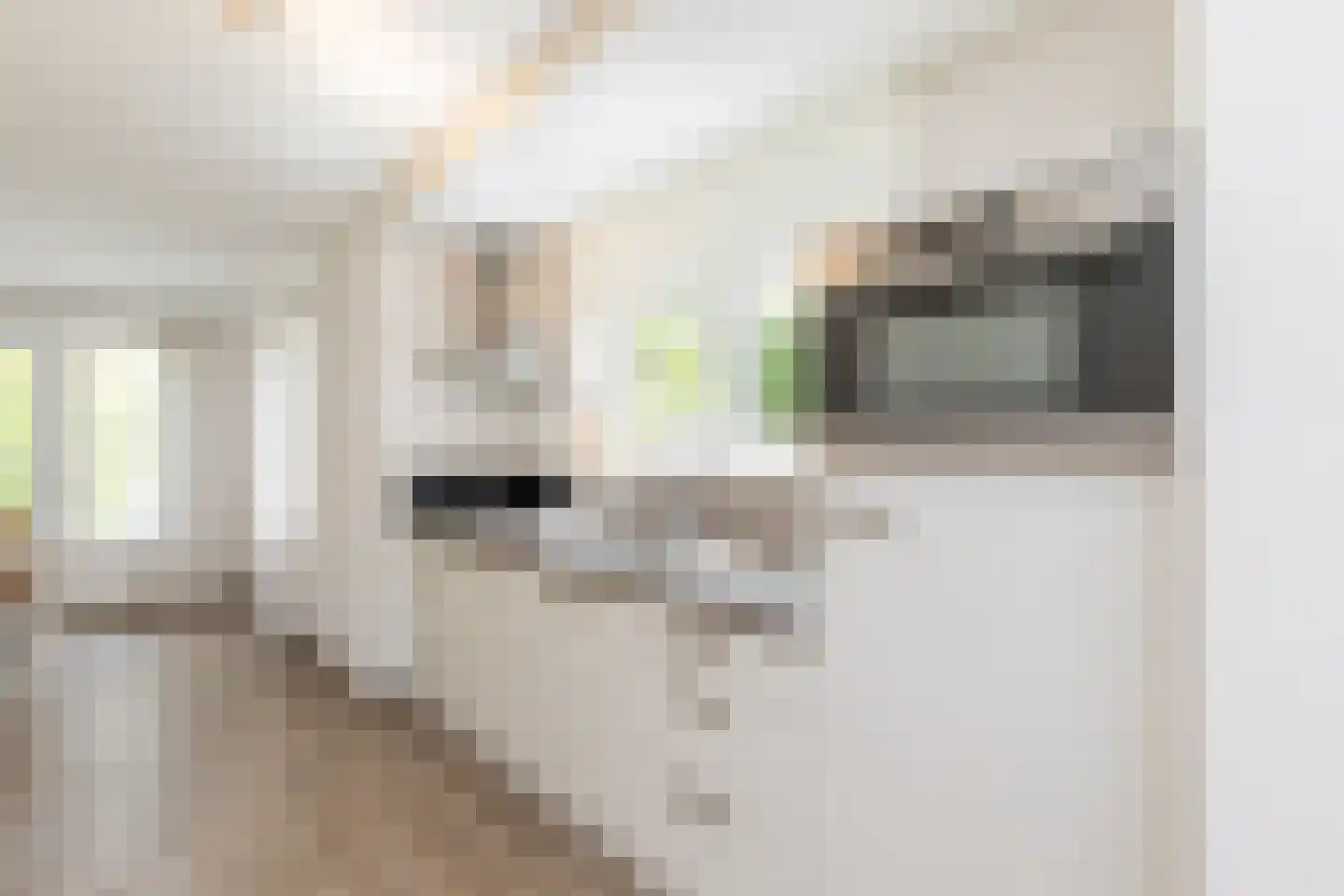 John O. Forfarstraat 38 Koudekerke thumbnail 15