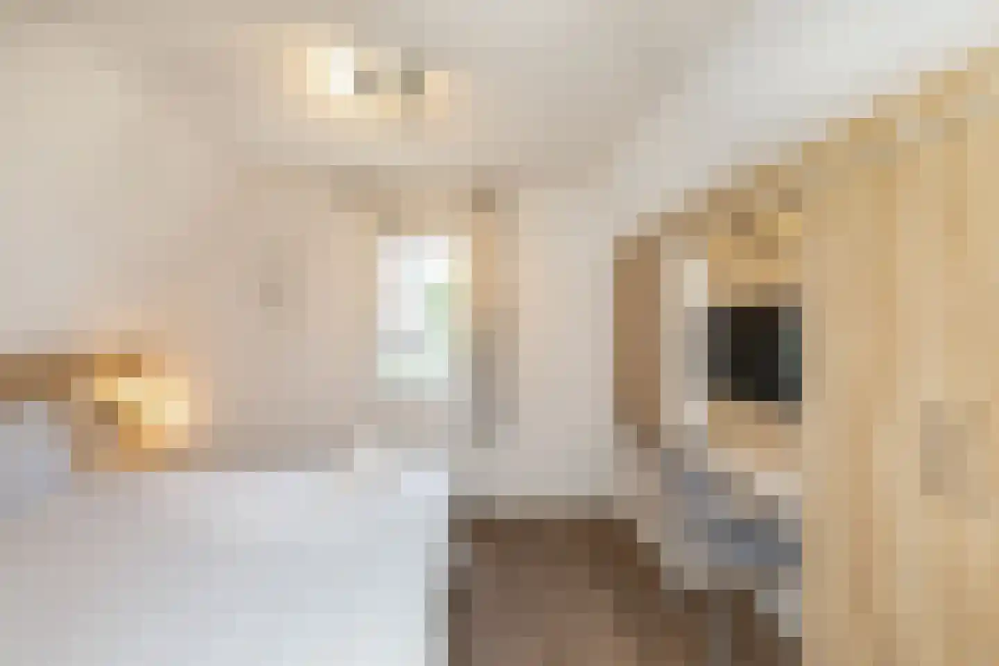 John O. Forfarstraat 38 Koudekerke thumbnail 20