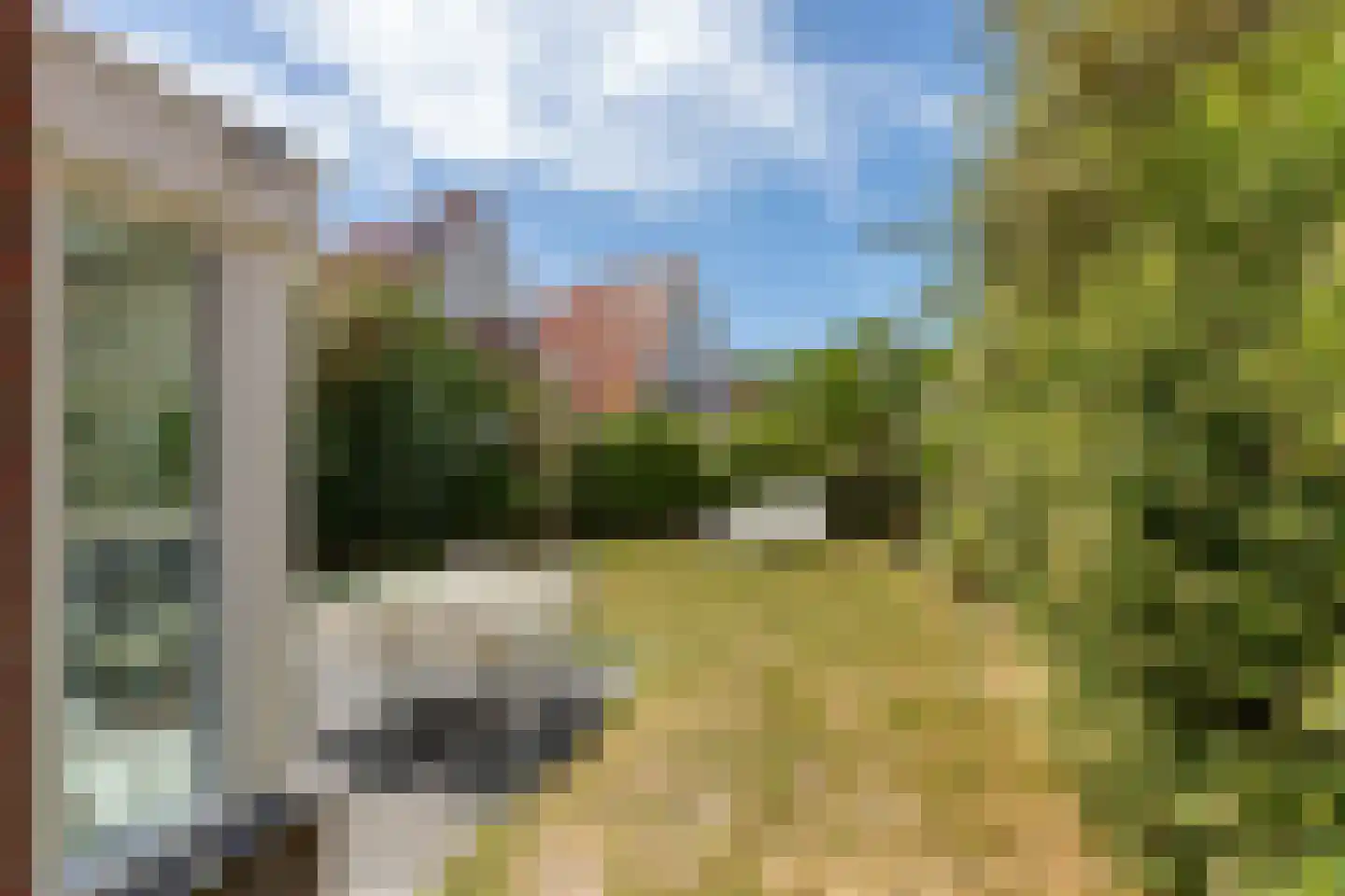John O. Forfarstraat 38 Koudekerke thumbnail 6