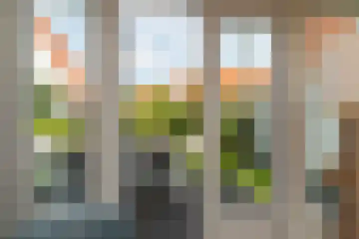 John O. Forfarstraat 41 Koudekerke thumbnail 11