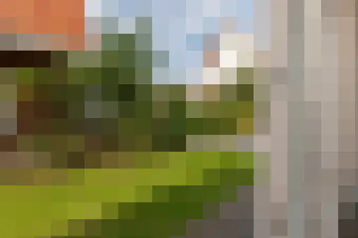 John O. Forfarstraat 41 Koudekerke thumbnail 12