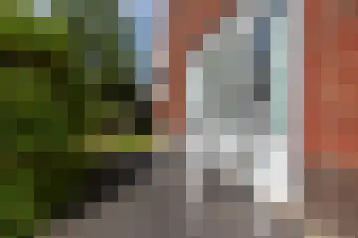 John O. Forfarstraat 41 Koudekerke thumbnail 20
