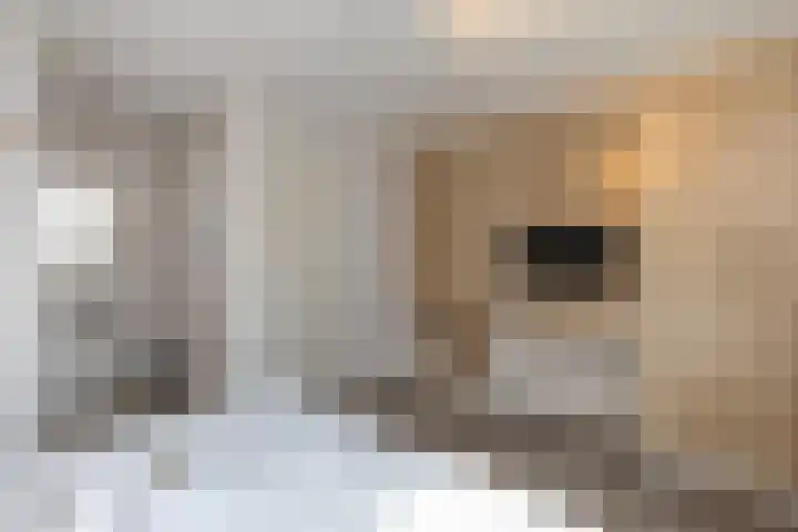 John O. Forfarstraat 41 Koudekerke thumbnail 31