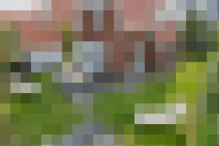 John O. Forfarstraat 41 Koudekerke thumbnail 37