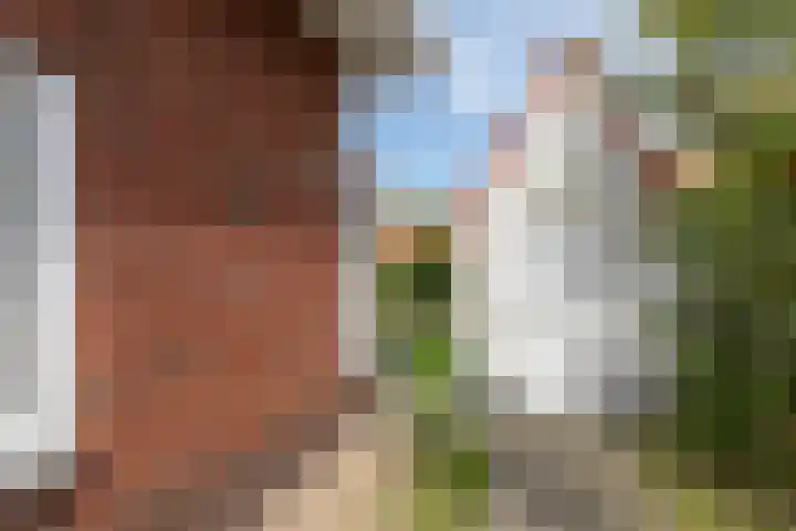 John O. Forfarstraat 41 Koudekerke thumbnail 38