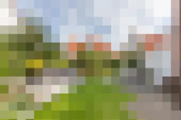 John O. Forfarstraat 41 Koudekerke thumbnail 4