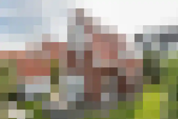 John O. Forfarstraat 41 Koudekerke thumbnail 52