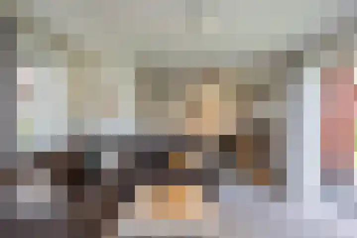 John O. Forfarstraat 41 Koudekerke thumbnail 8