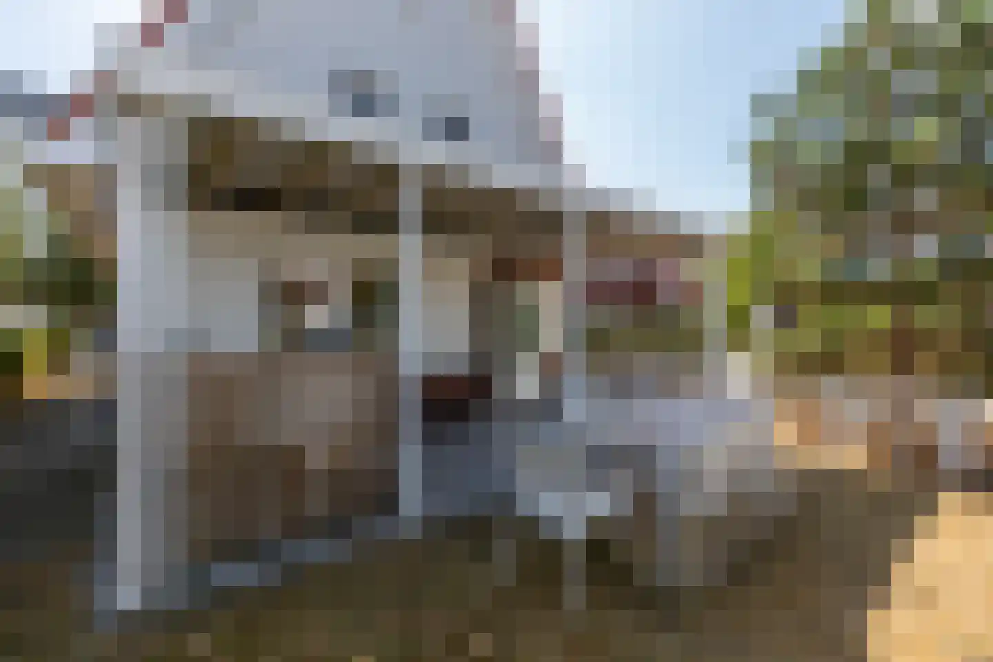 John O. Forfarstraat 42 Koudekerke thumbnail 39