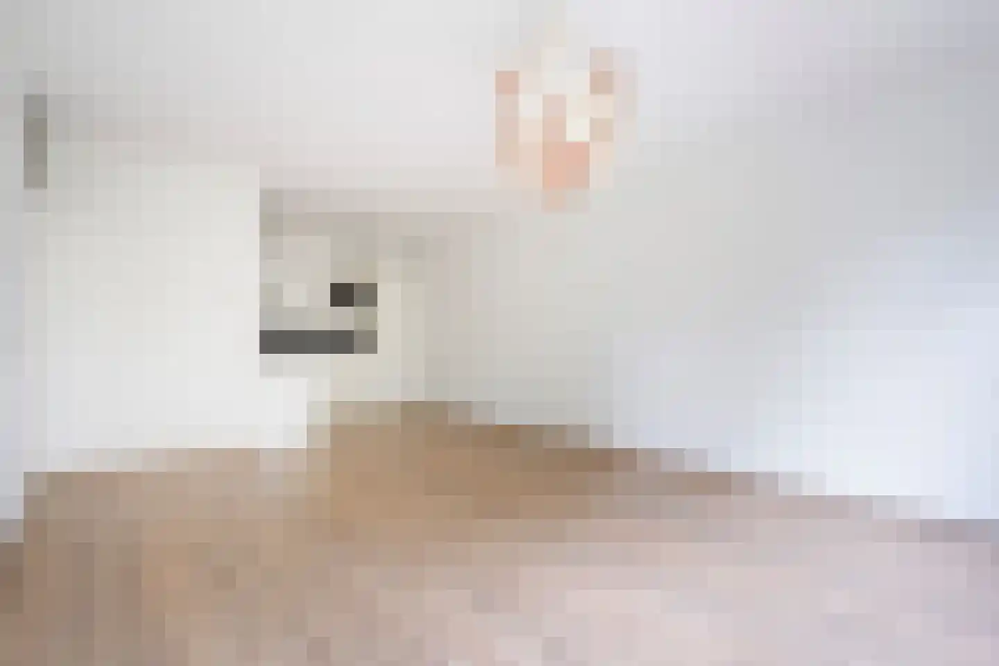 John Rädeckerkade 27 Den Haag thumbnail 17