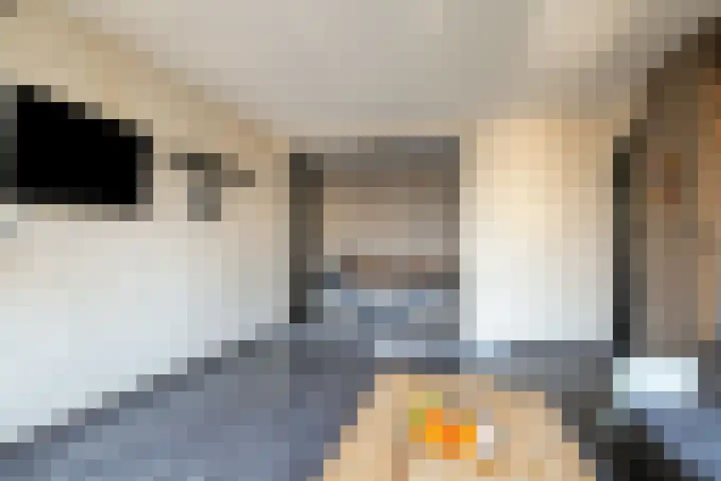 John Rädeckerkade 57 Den Haag thumbnail 12