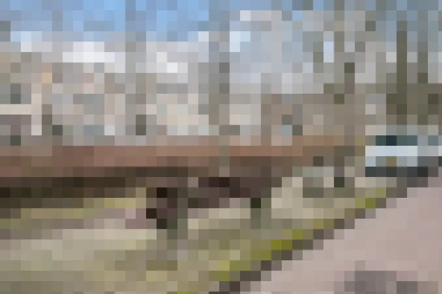 John Rädeckerkade 57 Den Haag thumbnail 25