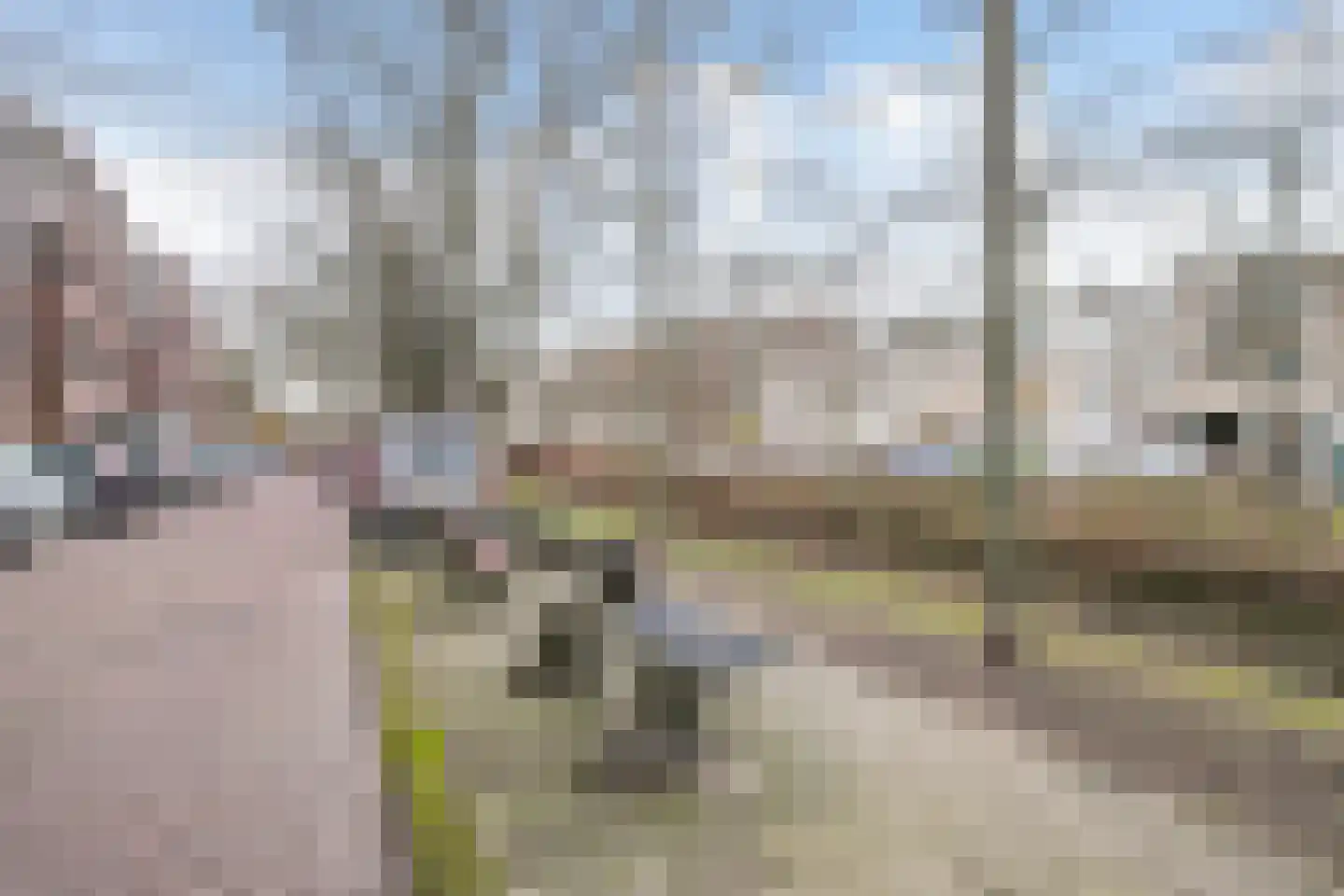 John Rädeckerkade 57 Den Haag thumbnail 36