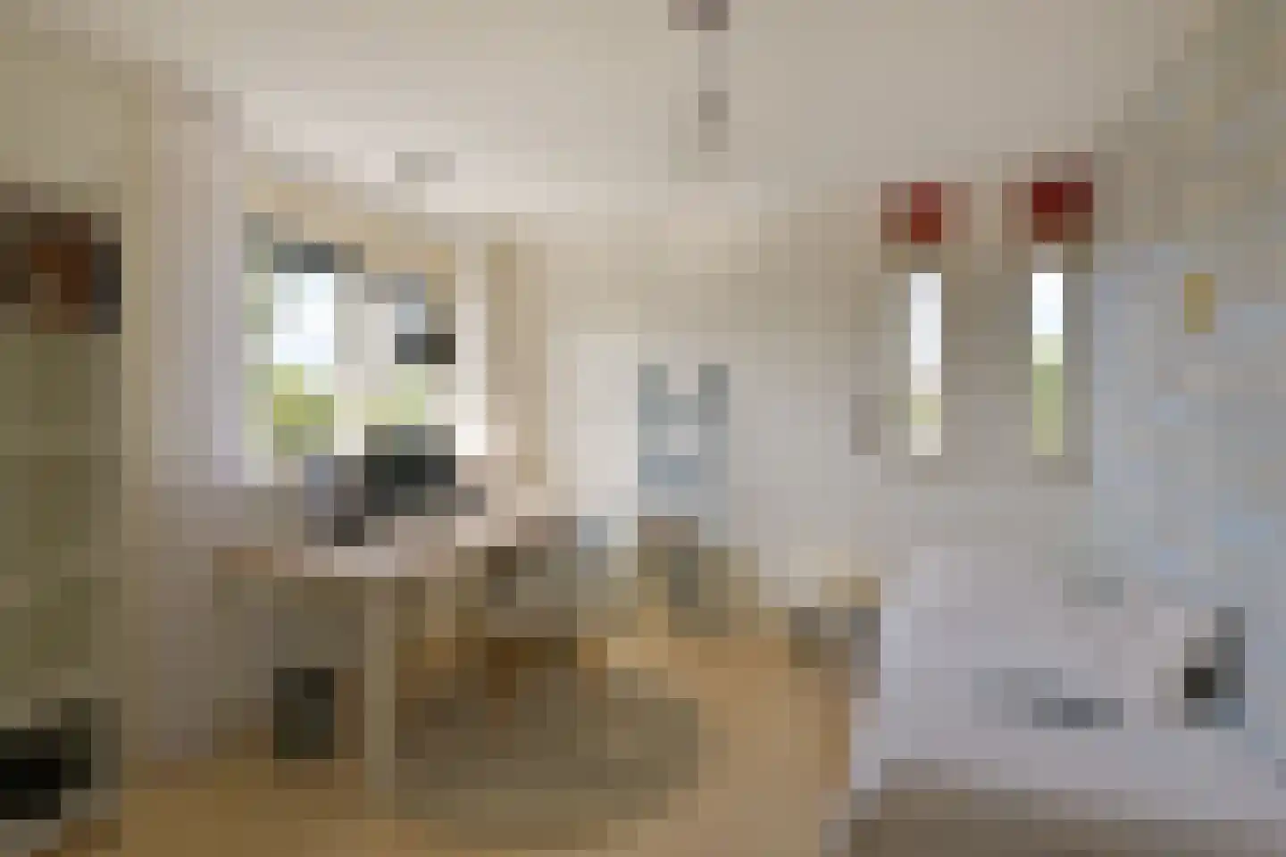 John Raedeckerhof 14 Hoorn thumbnail 23