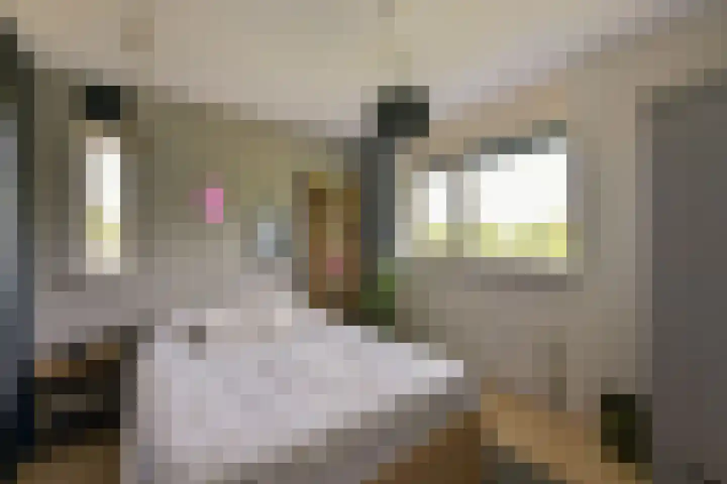 John Raedeckerhof 14 Hoorn thumbnail 25
