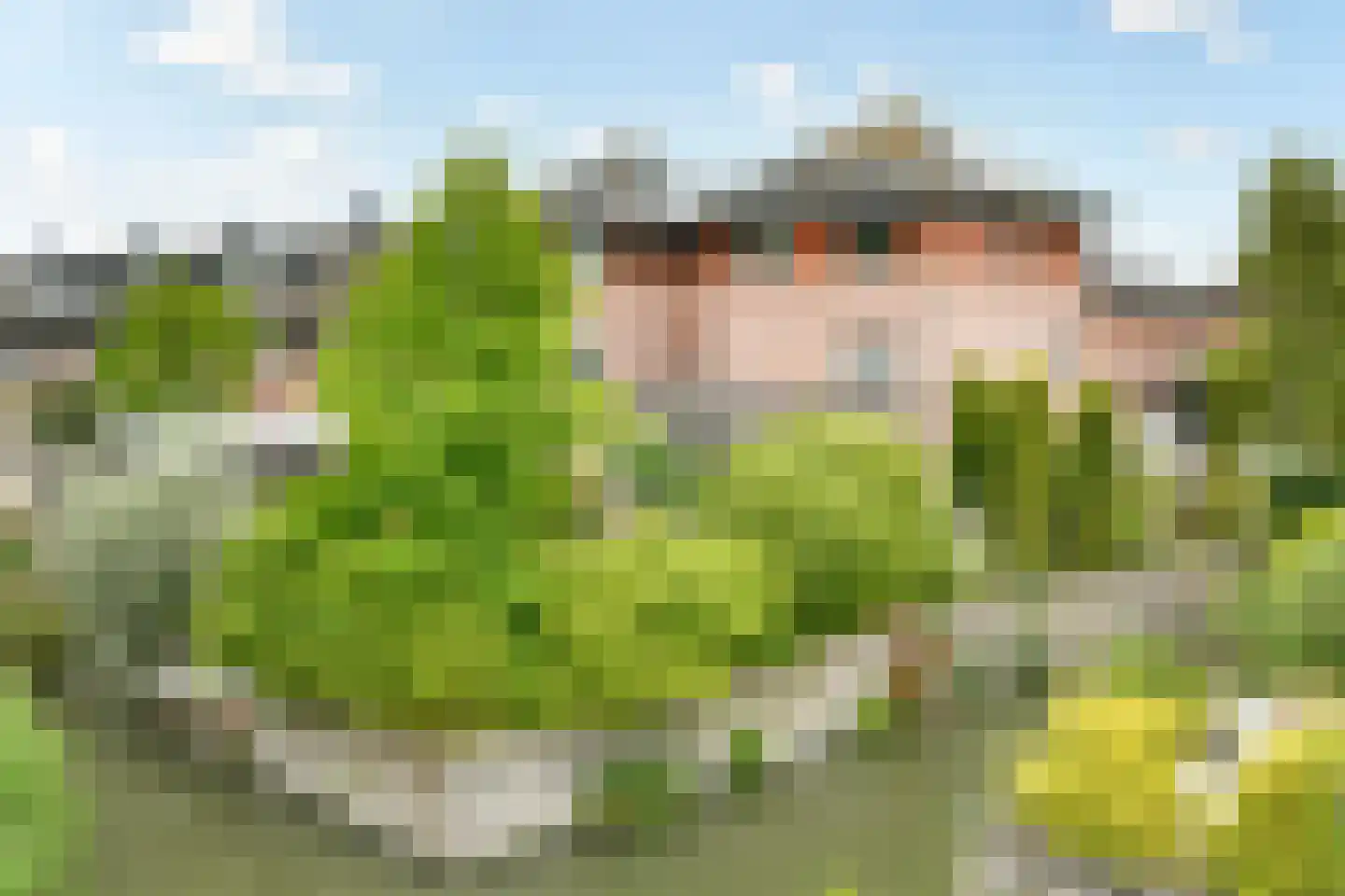 John Raedeckerhof 14 Hoorn thumbnail 29