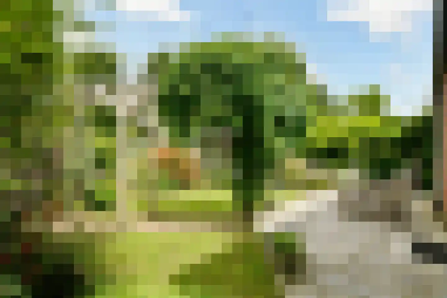 John Raedeckerhof 14 Hoorn thumbnail 30