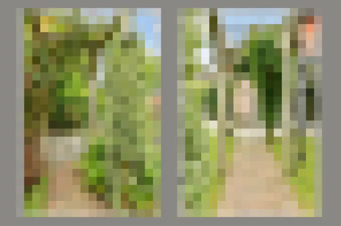 John Raedeckerhof 14 Hoorn thumbnail 31