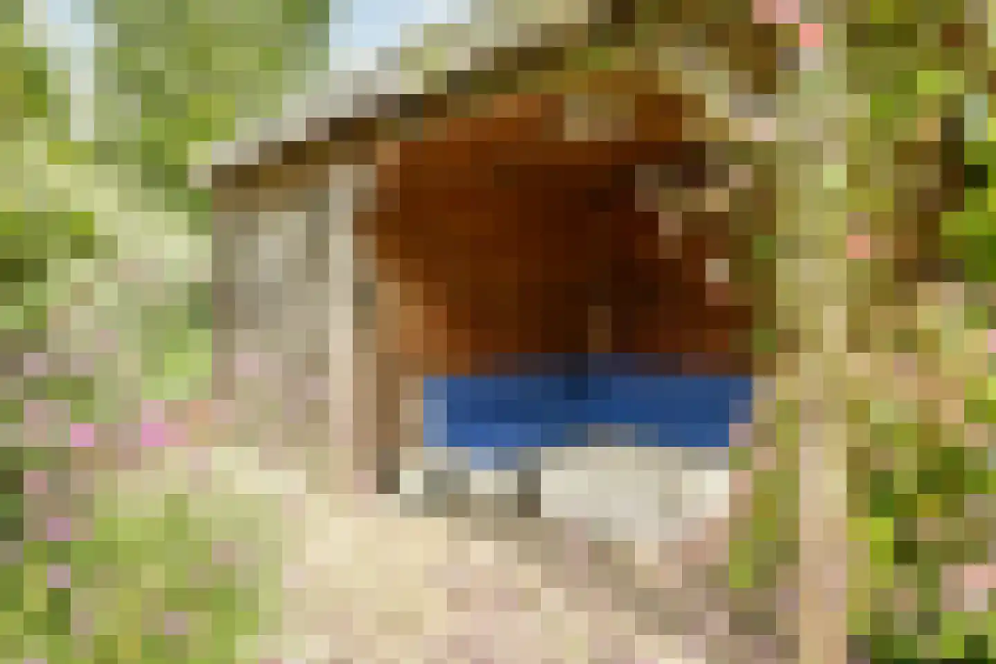 John Raedeckerhof 14 Hoorn thumbnail 34