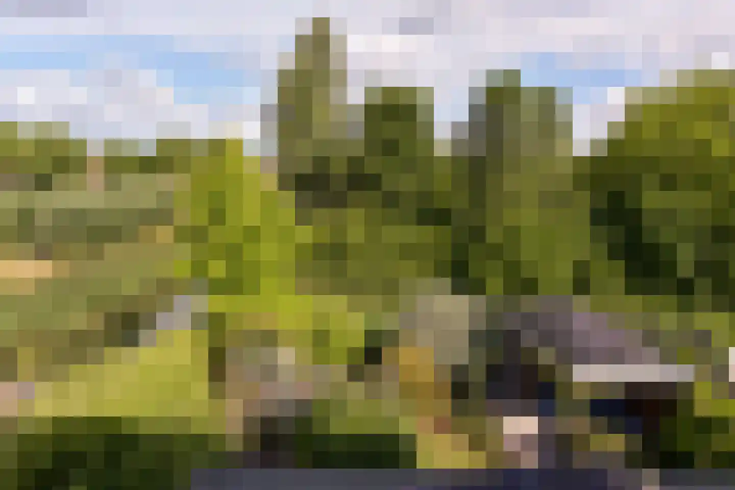 John Raedeckerhof 14 Hoorn thumbnail 39