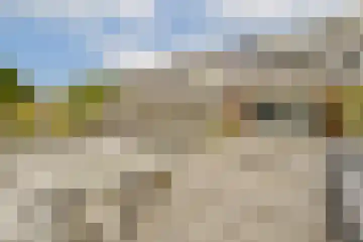 John Raedeckerhof 151 Hoorn thumbnail 14