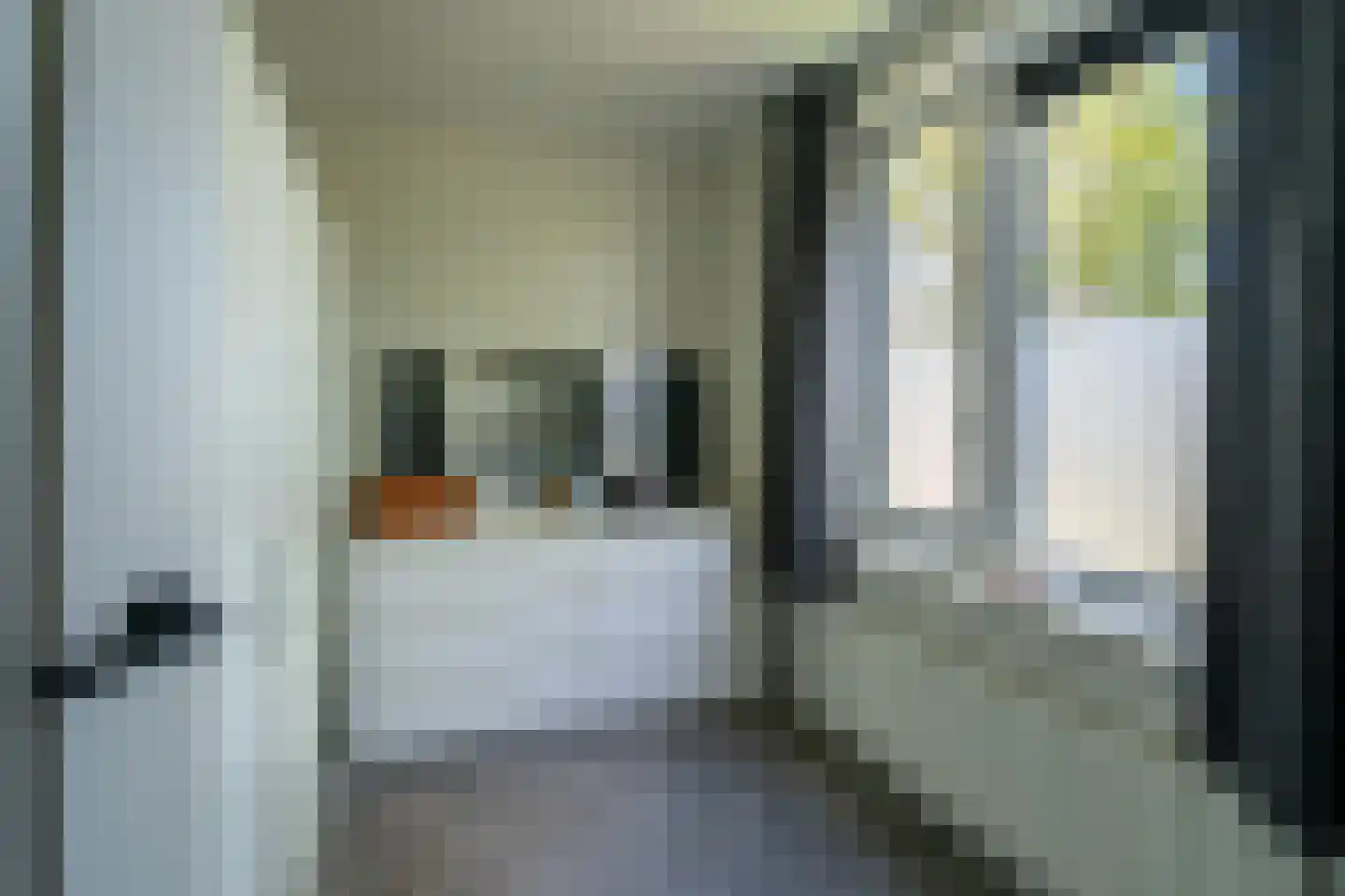 John Raedeckerhof 154 Hoorn thumbnail 19