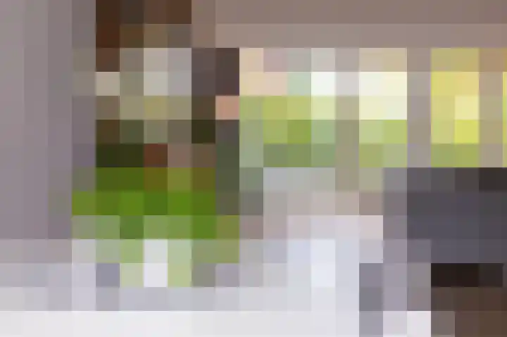 John Raedeckerhof 203 Hoorn thumbnail 20