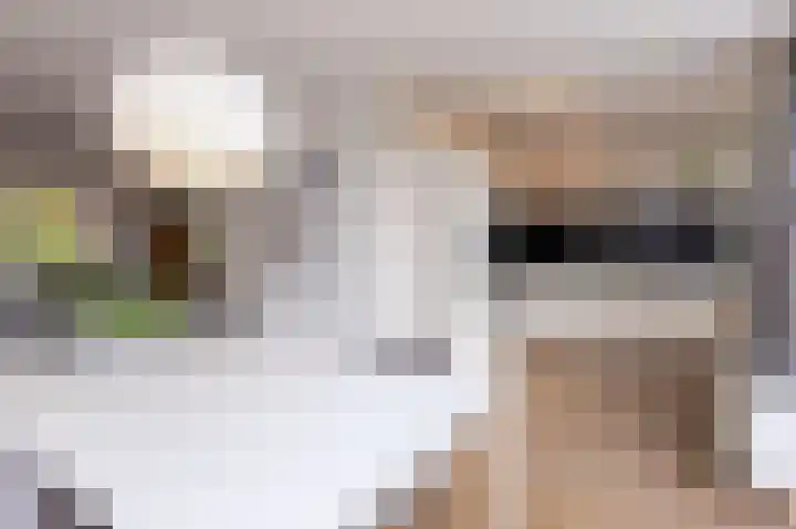 John Raedeckerhof 203 Hoorn thumbnail 22