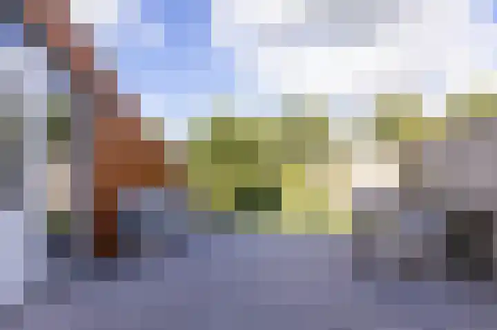 John Raedeckerhof 203 Hoorn thumbnail 60