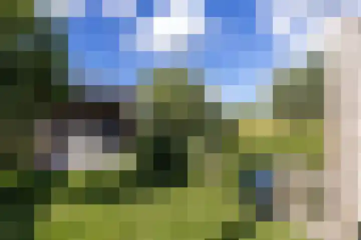 John Raedeckerhof 203 Hoorn thumbnail 61