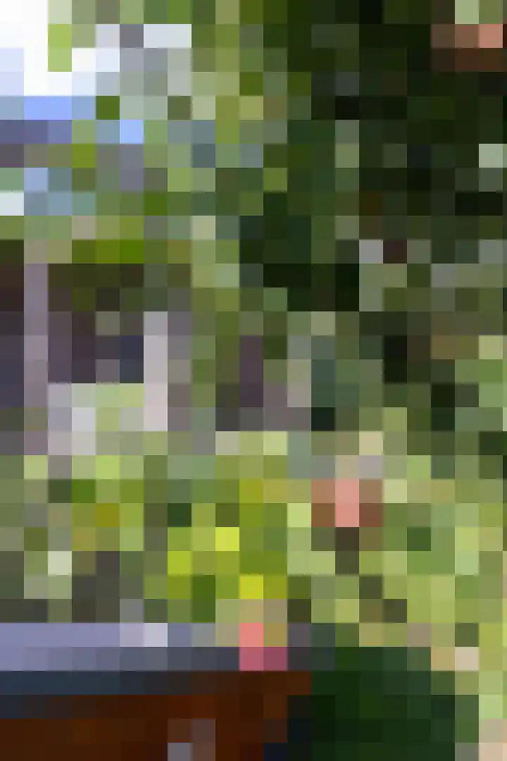 John Raedeckerhof 203 Hoorn thumbnail 67