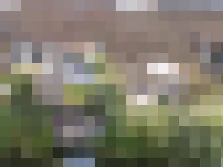 John Raedeckerhof 203 Hoorn thumbnail 68