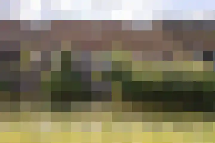 John Raedeckerhof 203 Hoorn thumbnail 69