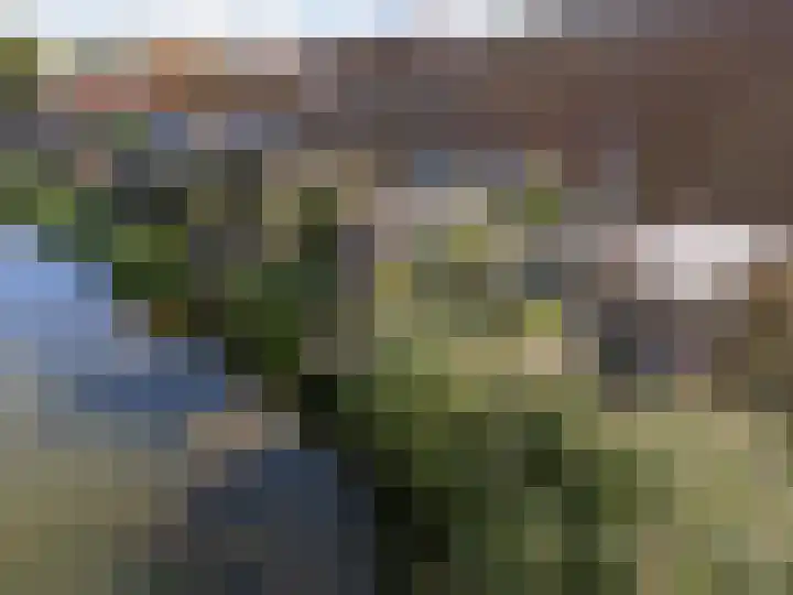 John Raedeckerhof 203 Hoorn thumbnail 71