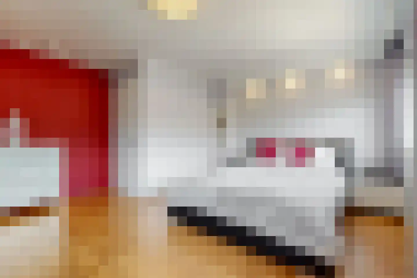 John Raedeckerhof 43 Hoorn thumbnail 13